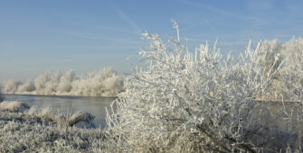 Dreamstime l 129025859