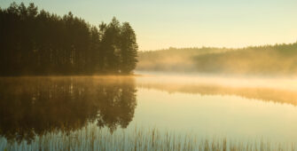 Dreamstime l 91483186
