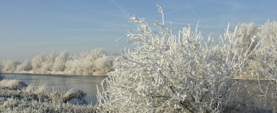 Dreamstime l 129025859